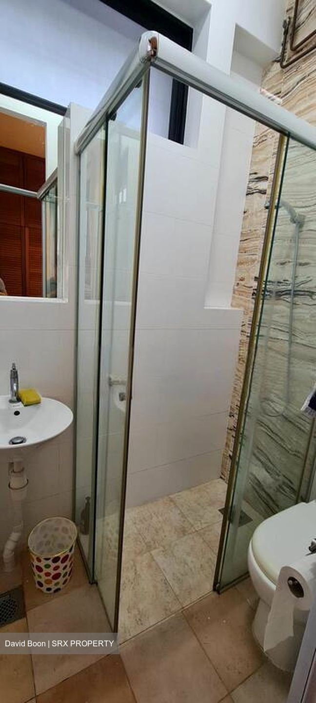 Emerald Hill Conservation Area (D9), Apartment #478161631